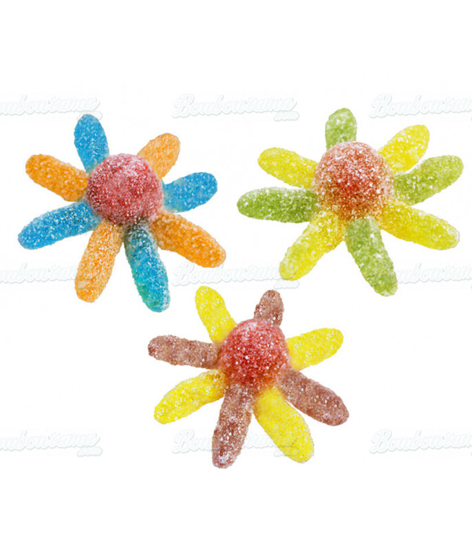 Poulpe Acide Halal Jake - 1