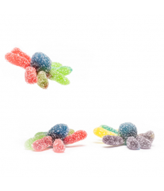 Beutel Fancy Sauer Octopus 90 gr The Gommy's Factory - 2