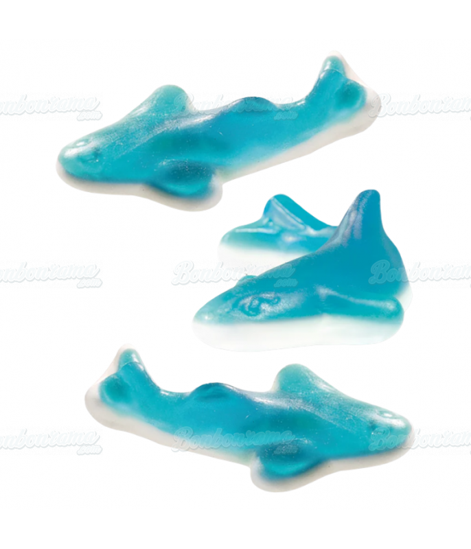 Requin Bleu Trolli Trolli - 1