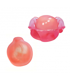 Sachet Peelerz Pêche