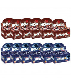 Chewing gum Pack NewBol 2 parfums x 1200 pcs en gros conditionnement