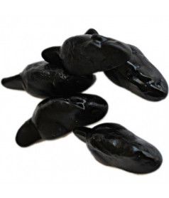 Souris Réglisse Frisia Frisia by Astra - 1