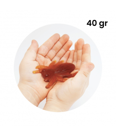 Bonbon gélifié en vrac Maxi Mygale Pierrot Gourmand en gros conditionnement