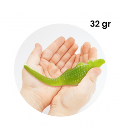 Bonbon gélifié en vrac Maxi Alligator Pierrot Gourmand en gros conditionnement