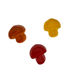 Sachet Forest Gum Mushroom Magic