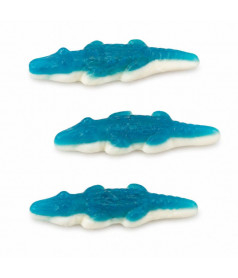 Cocodrilo Azul Liso Bebeto