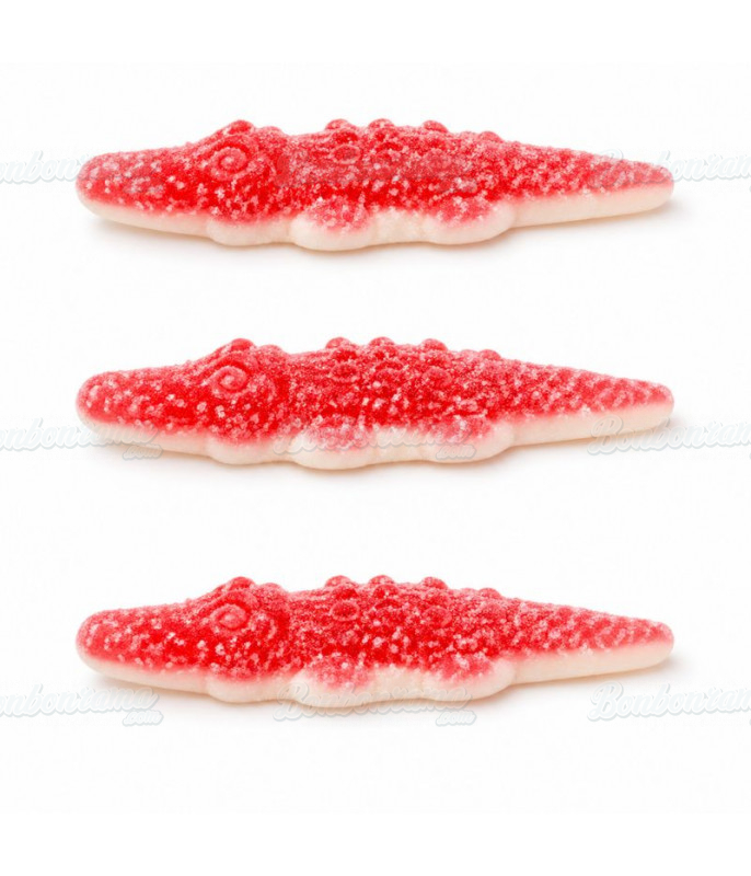 Crocodile Rouge Acide Bebeto
