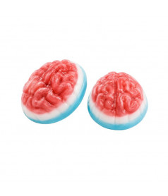 Cerveau Vidal