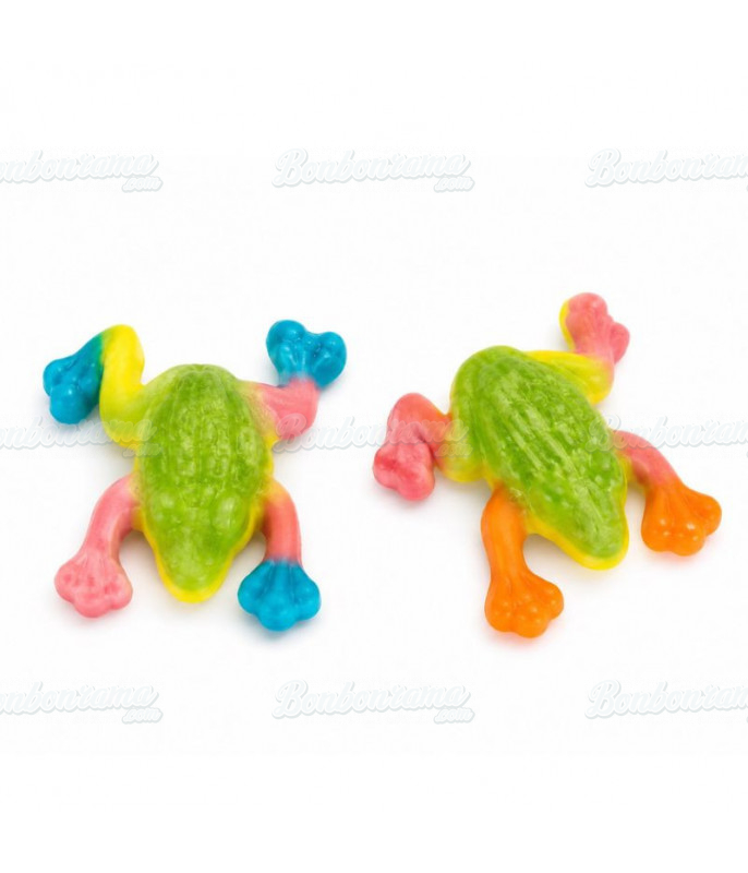 Frosch Vidal