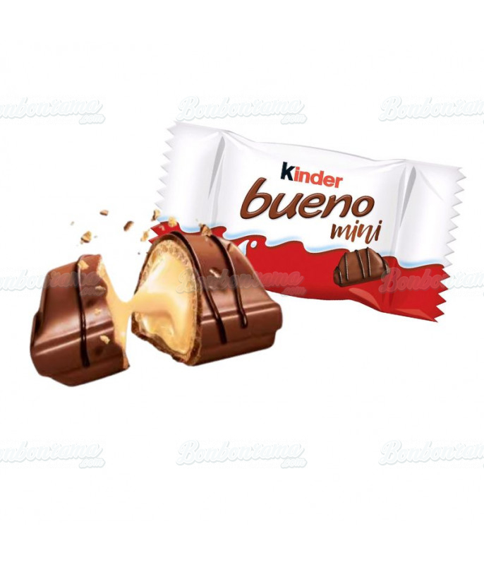 Confiserie chocolat en gros conditionnement Kinder Mini Bueno