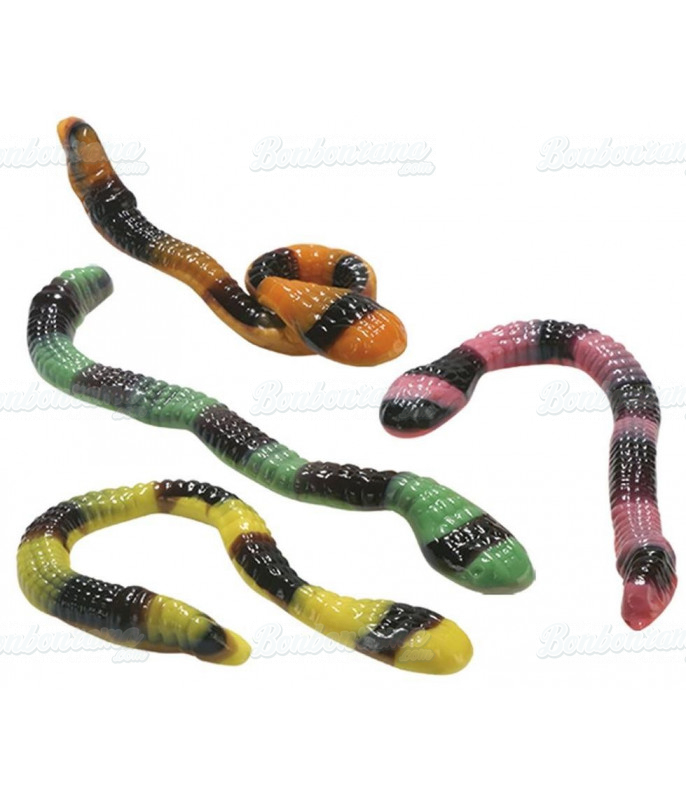 Trolli culebras serpents snake 1Kg - Bonbon pas cher, bonbon au kilo ou en  vrac - Bonbix
