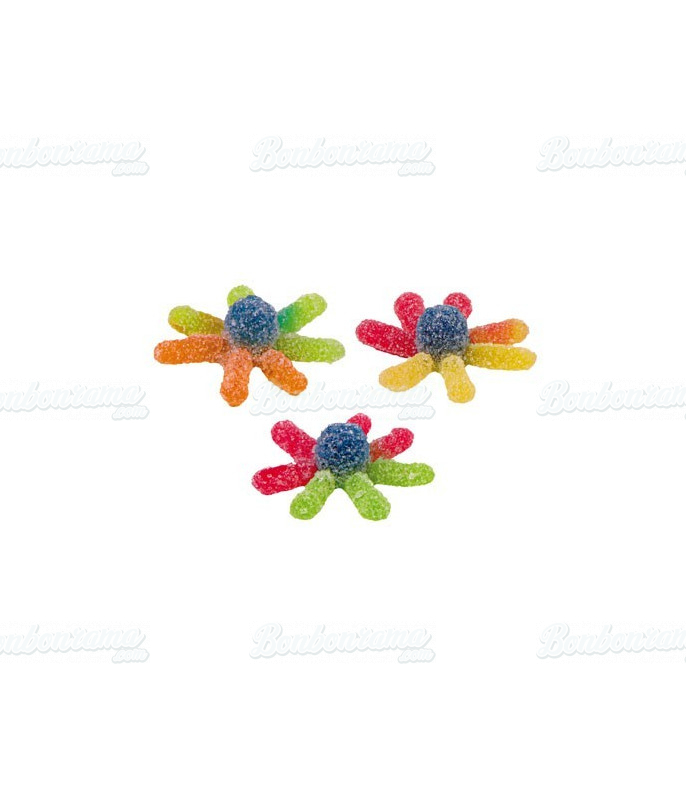 Sour Jelly Candy Octopus x 300 pcs Sour Jelly Candy Octopus x 300 pcs