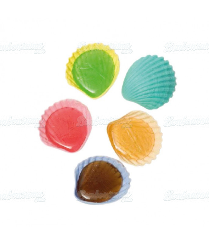 Roudoudou Shell Pop bag of 1 kg