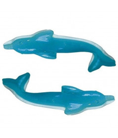 XXL Vidal dolphin