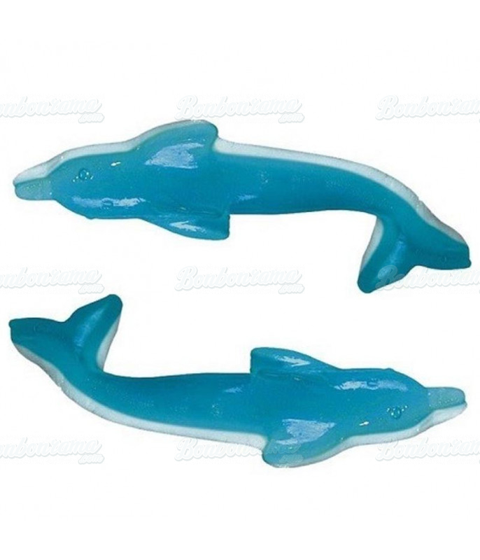 XXL Dolphin Vidal