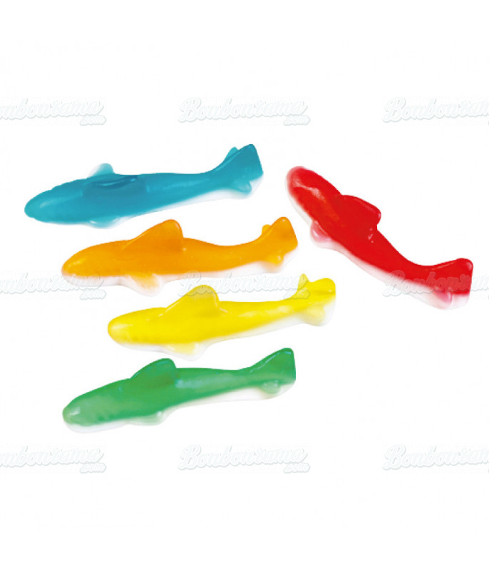 Sachet Fini 90 gr Requin Assorti en gros conditionnement